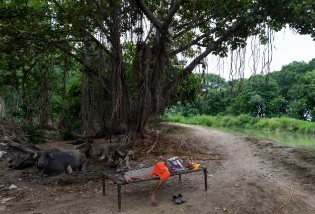 Nhiều người dân nằm ngủ dưới gốc cây, mang giường ngủ ra ngoài trời vì quá nóng.